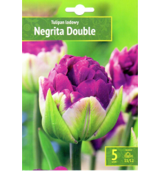 TULIPA NEGRITA DOUBLE