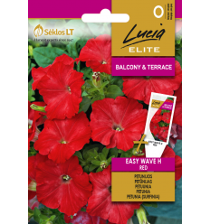 PETUNIA EASY WAVE H RED