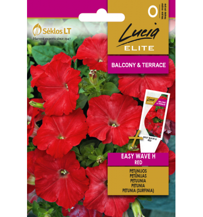 PETUNIA EASY WAVE H RED