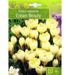 ST-KROKAI Cream Beauty 17405 