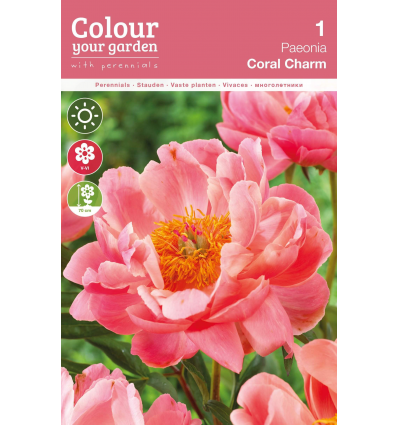 CHINESE PEONY CORAL CHARM
