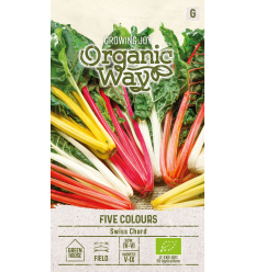 OW SWISS CHARD FIVE COLOURS