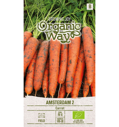 OW CARROT AMSTERDAM 2