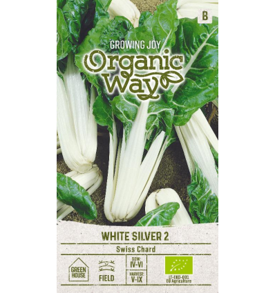 OW SWISS CHARD WHITE SILVER 2