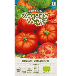 TOMATO PANTANO ROMANESCO