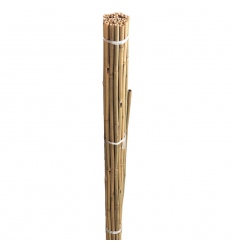 BAMBOO STAKES 150CM 20PCS