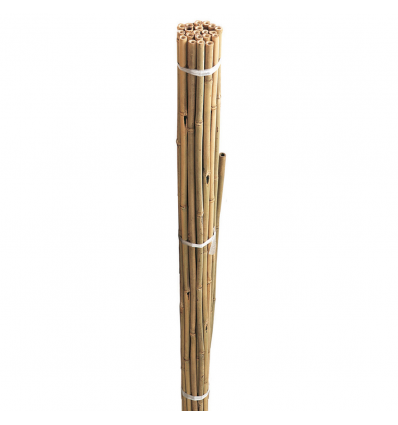 BAMBOO STAKES 150CM 20PCS