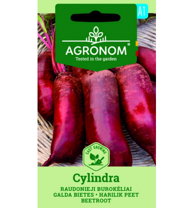 BEETROOT, CYLINDRA