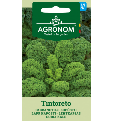 CURLY KALE TINTORETO