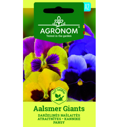 PANSY, AALSMER GIANTS