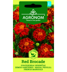 FRENCH MARIGOLD RED BROCADE