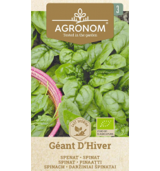 SPINACH GEANT D'HIVER