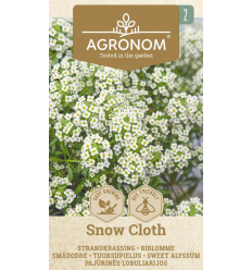 SWEET ALYSSUM SNOW CLOTH