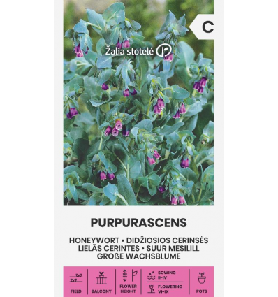 HONEYWORT PURPURASCENS