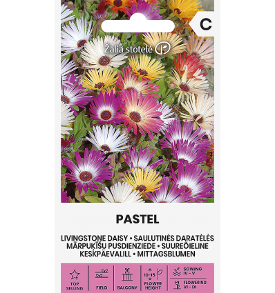 LIVINGSTONE DAISY PASTEL