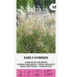 CHINESE SILVER GRASS EARLY HYBRIDS