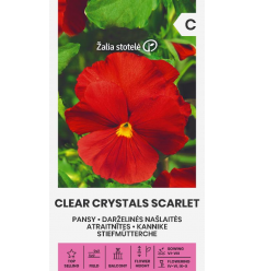 PANSY CLEAR CRYSTALS SCARLET