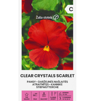PANSY CLEAR CRYSTALS SCARLET