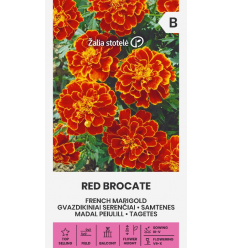 FRENCH MARIGOLD RED BROCATE
