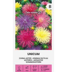 CHINA ASTER UNICUM