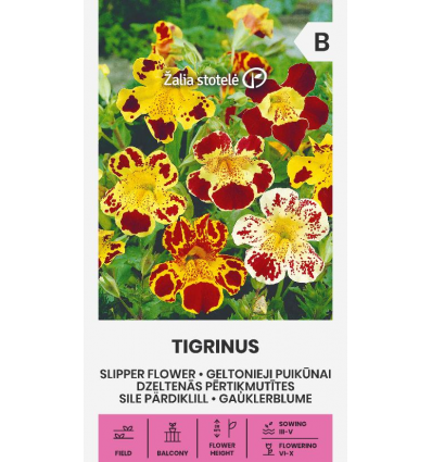 SLIPPER FLOWER TIGRINUS