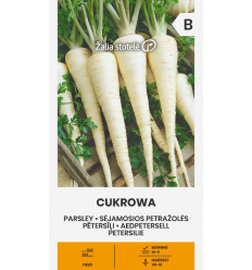 PARSLEY ROOT, CUKROWA