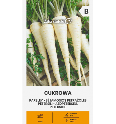 PARSLEY ROOT, CUKROWA