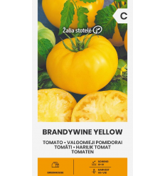 TOMATO, BRANDYWINE YELLOW