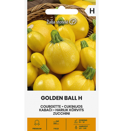COURGETTE GOLD BALL H