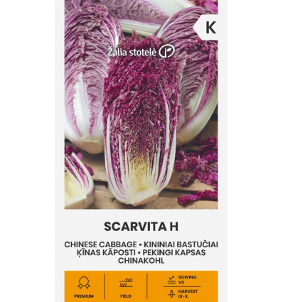 CHINESE CABBAGE SCARVITA H