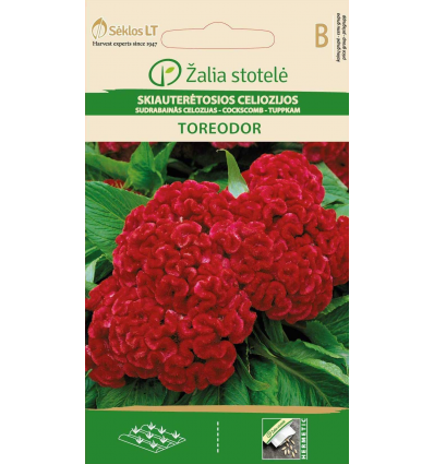 COCKSCOMB TOREODOR