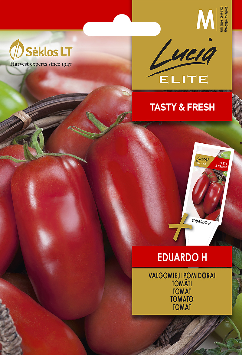 TOMATO EDUARDO H