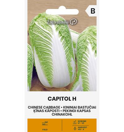 CHINESE CABBAGE CAPITOL H