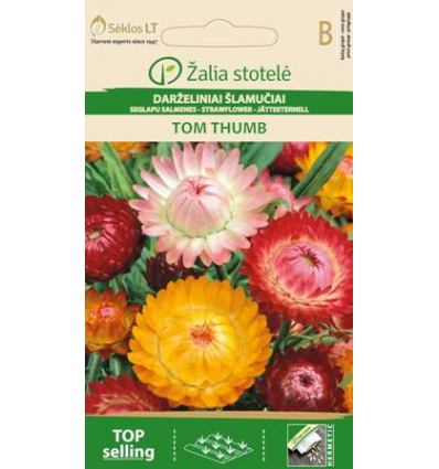 STRAWFLOWER TOM THUMB