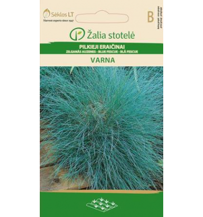 BLUE FESCUE VARNA