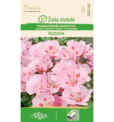 GODETIA, RUZOVA PINK