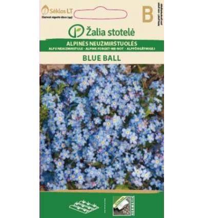 ALPINE FORGET-ME-NOT BLUE BALL
