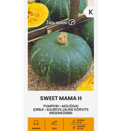 PUMPKIN SWEET MAMA H