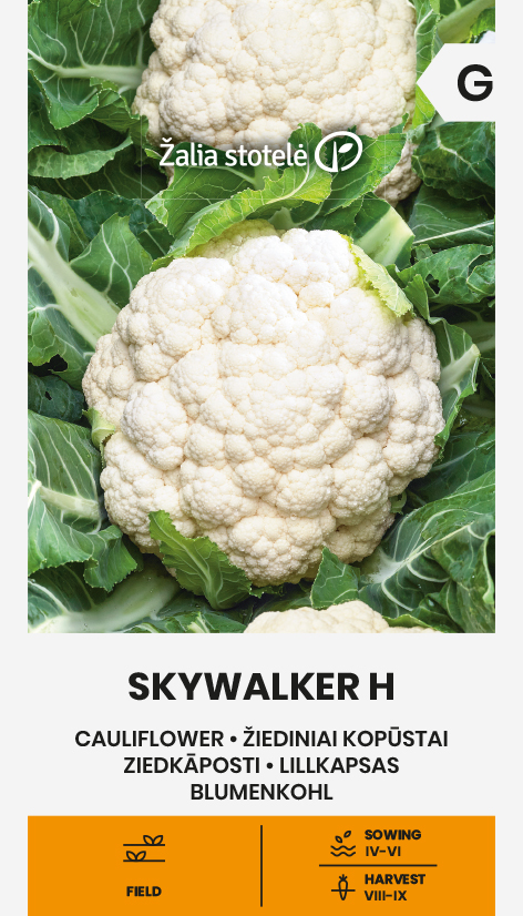 CAULIFLOWER SKYWALKER H