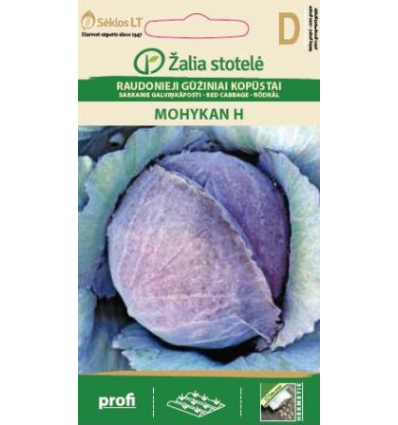 RED CABBAGE MOHYKAN H