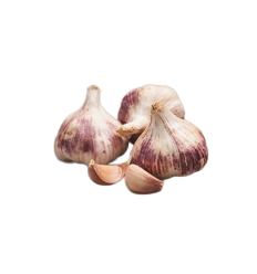 GARLIC MORADO SIZE 44/55 20KG