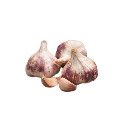 GARLIC MORADO SIZE 44/55 20KG