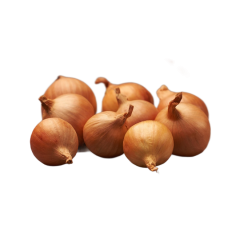 ONIONS SEEDLING GOLDEN GOURMET 7/14 0,5KG