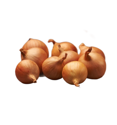 ONIONS SEEDLING GOLDEN GOURMET 7/14 0,5KG