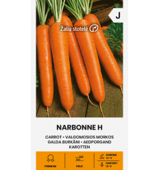 CARROT NARBONNE H