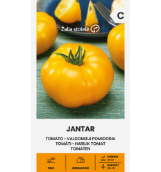 TOMATOJANTAR