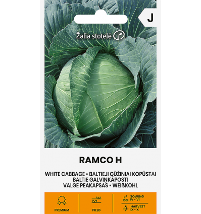 CABBAGE WHITE, RAMCO H