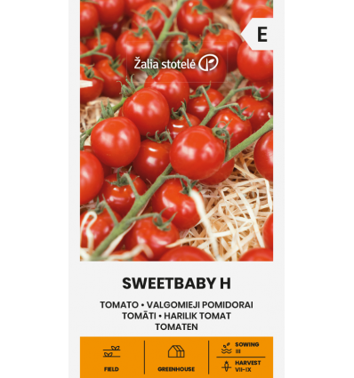 TOMATO SWEETBABY H