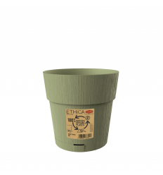 Plastic Pot with Saucer, Green, 15X15CM (68002)