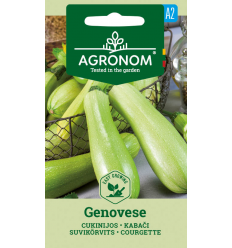 COURGETTE GENOVESE